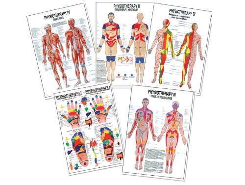 BODYLINE PHYSIOTHERAPY CHARTS