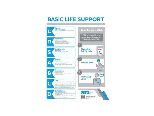 AED CPR WALL CHART / EACH