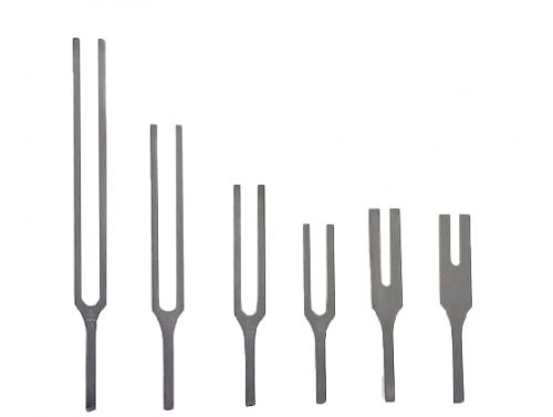 TUNING FORK C256Hz S/S No Weights