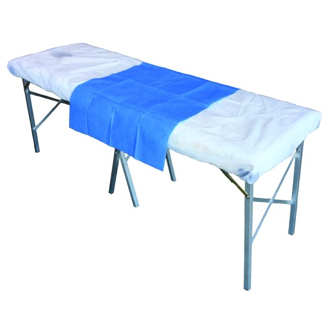 HAINES MODESTY FLAT SHEET/COUCH COVER / SMALL / 100CM X 70CM / CTN/200 photo