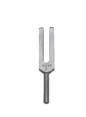 FISHER & WEBSTER TUNING FORKS photo