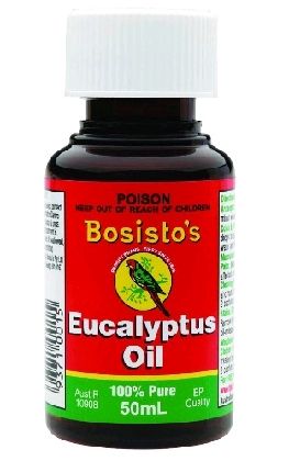 BOSISTOS EUCALYPTUS OIL / 50ML photo