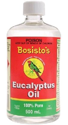 EUCALYPTUS OIL / 500ML photo