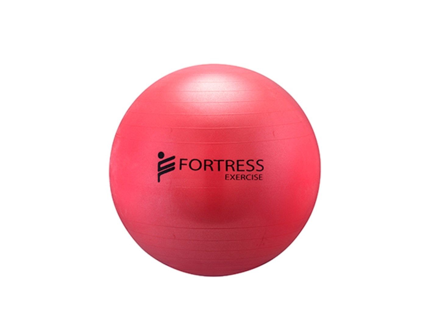 FORTRESS RAINBOW REHAB ANTI-BURST GYM / FITNESS BALLS photo