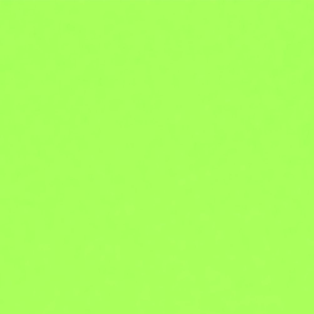NORA AERO SORB W / LIME GREEN photo