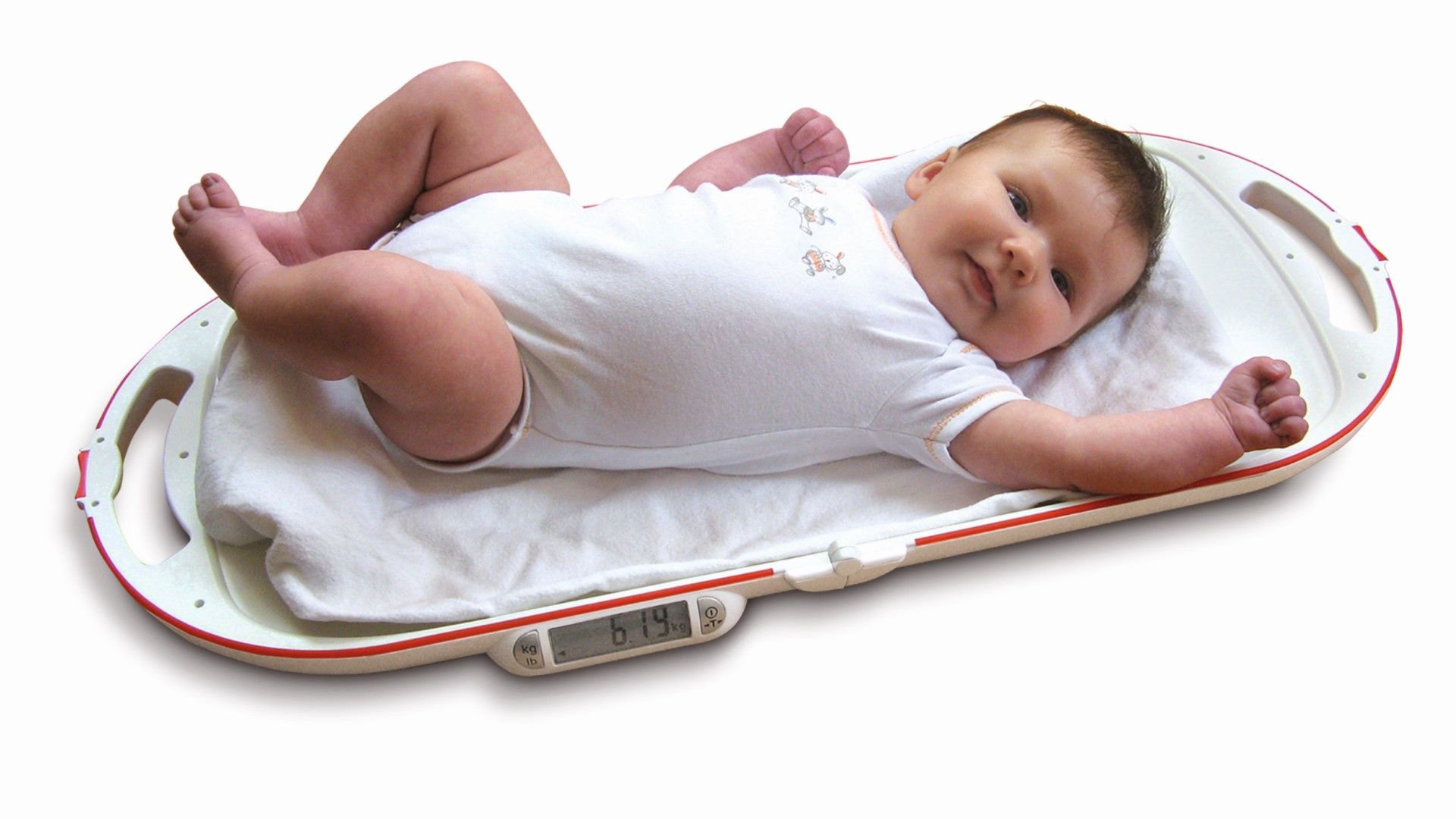 SOEHNLE BABY SCALE WITH EASY FOLD FUNCTION photo