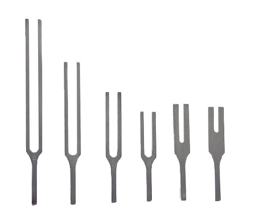 TUNING FORK C256Hz S/S No Weights photo