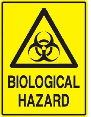 BIOLOGICAL HAZARD STICKER / 15CM X 11CM