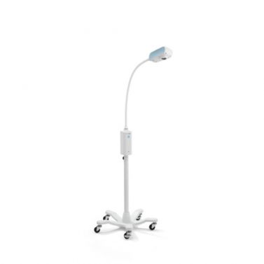 GS 300 GENERAL EXAM LIGHT