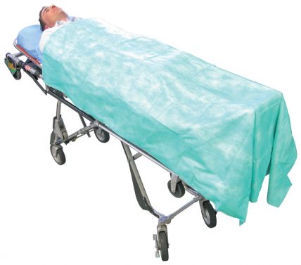 HAINES DISPOSABLE BLANKET / 50/PACK / 190 X 110CM - CARTON/50