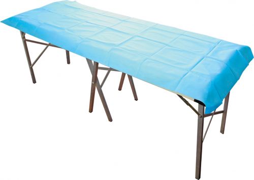 HAINES FLAT SHEET/COUCH COVER / 200CM X 70CM / CARTON OF 100