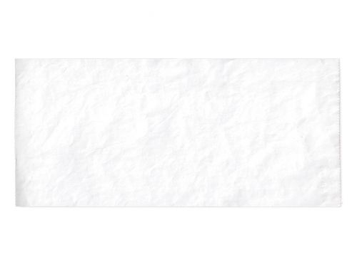 PRINTER ROLL SPIROMETER Pony FX / PACK 10