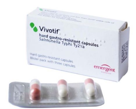 VIVOTIF TYPHOID VACCINE LIVE ORAL / TYP21A / PACKET OF 3