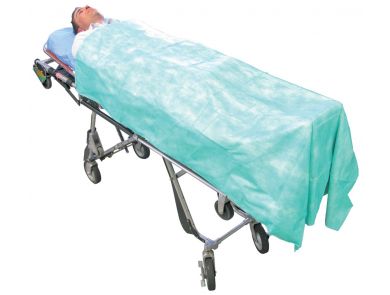 HAINES DISPOSABLE BLANKET / 50/PACK / 190 X 110CM - CARTON/50