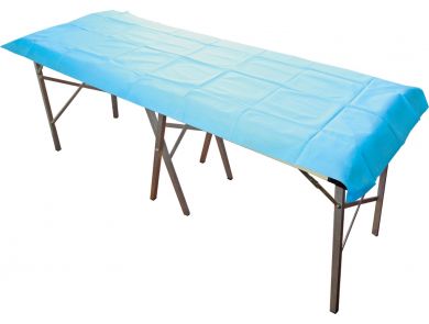 HAINES FLAT SHEET/COUCH COVER / 200CM X 70CM / CARTON OF 100