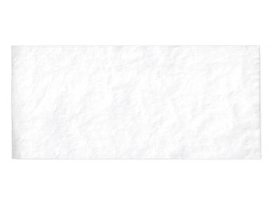 PRINTER ROLL SPIROMETER Pony FX / PACK 10